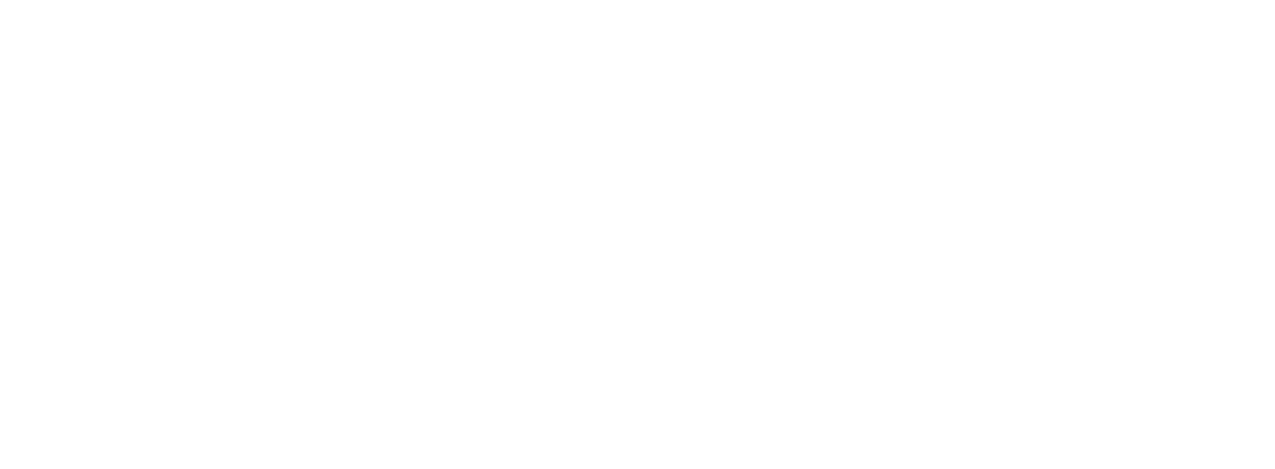 PRG Software
