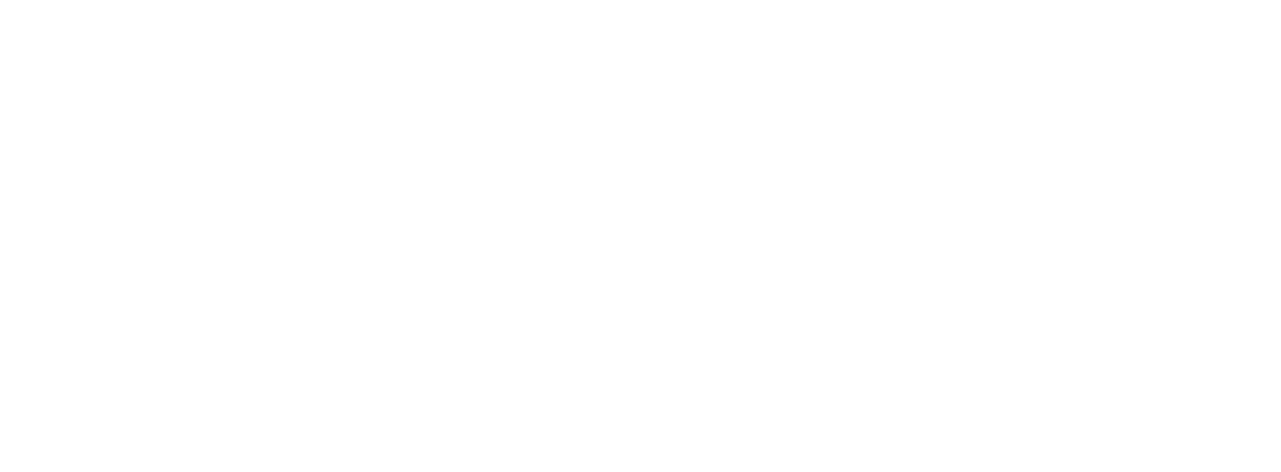 Priscila Brunner